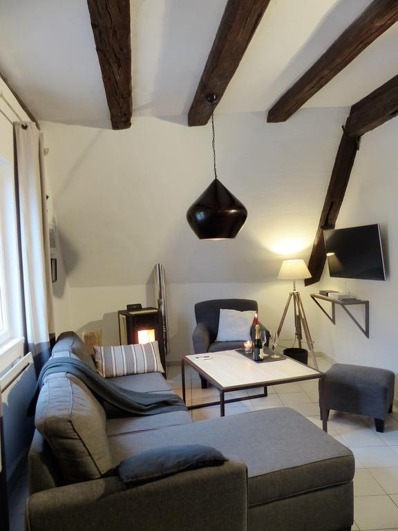 Apartament La Venise Bleue Colmar Zewnętrze zdjęcie